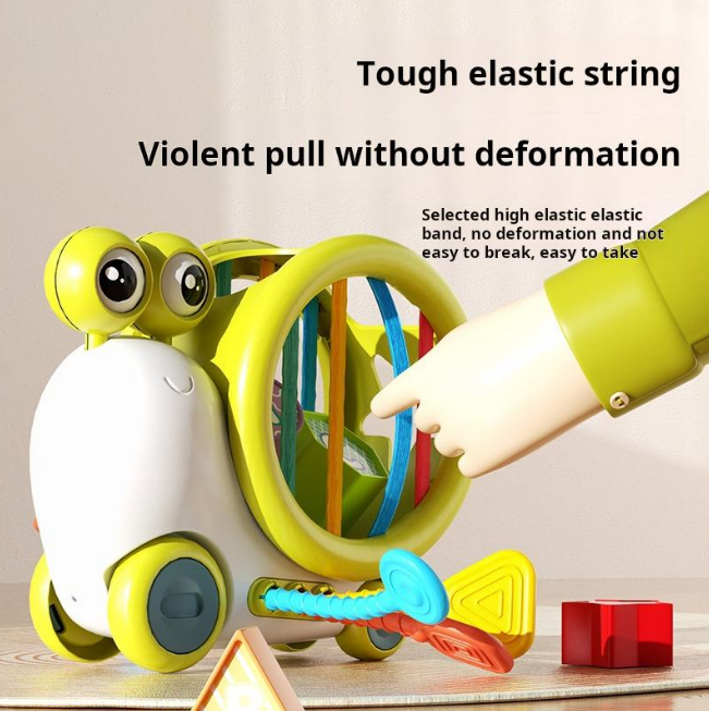 Premium Baby Snail Activity Toy
