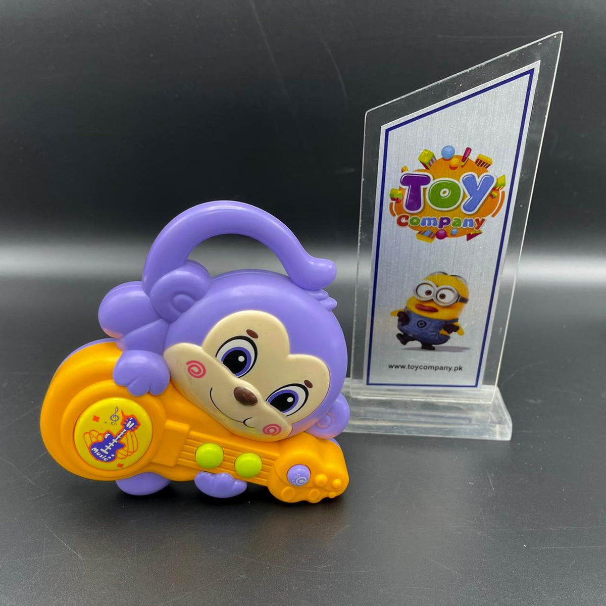 STEAM Life Musical Toy-Assortment