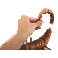Spray Infrared Remote Control Scorpion