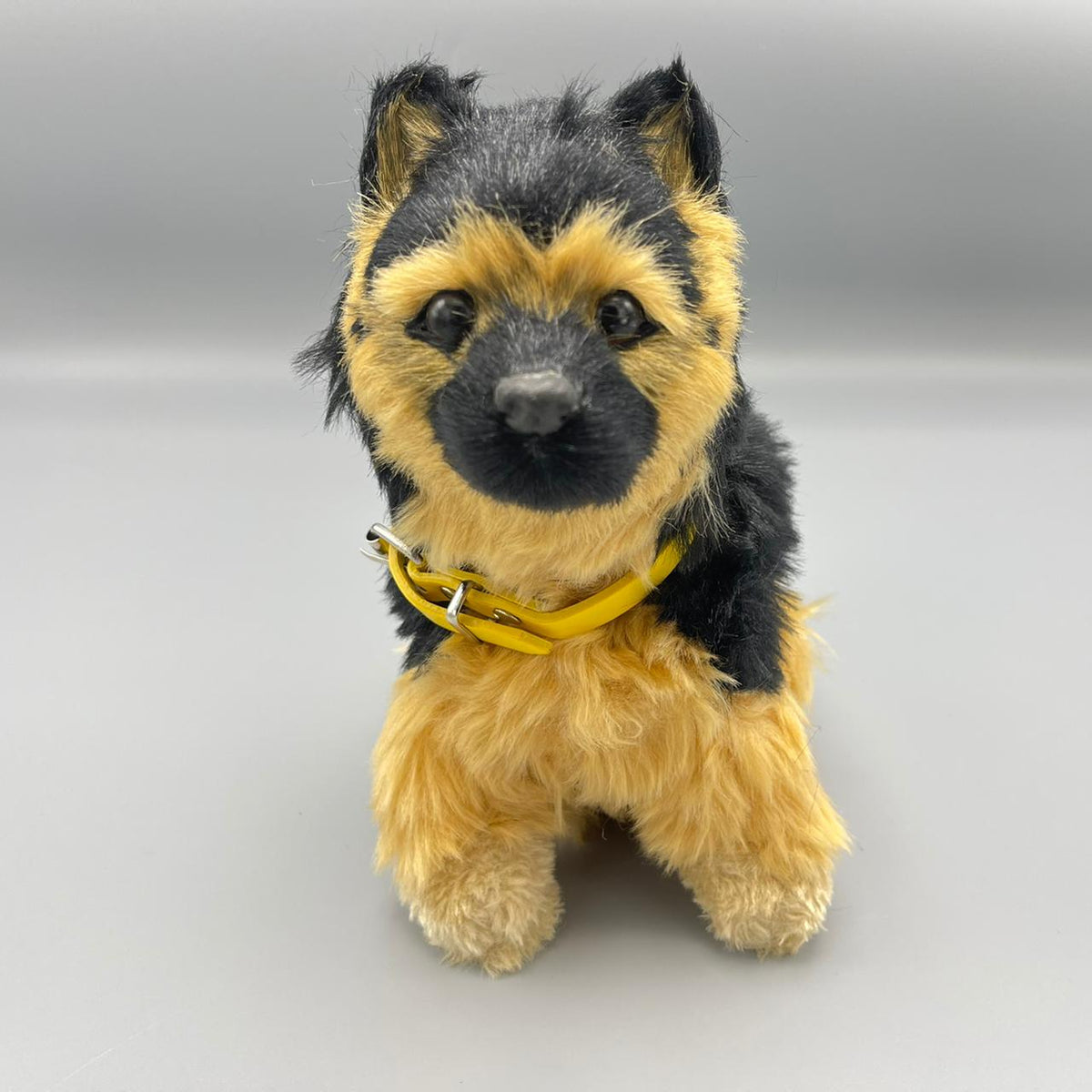 Little Alive German Shepherd Dog