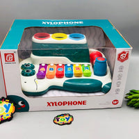 Toddlers Early Learning Xylophone Toy