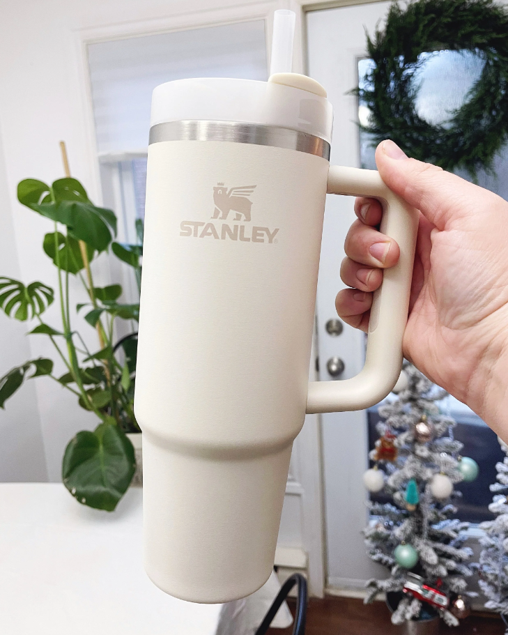 Original Stanley Insulated Tumbler With Straw - Gray
