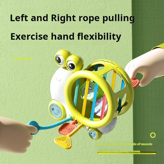Premium Baby Snail Activity Toy