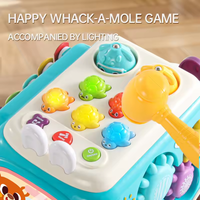 6in1 Multi-functional Baby Activity Car