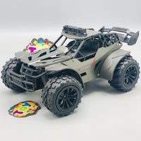 2.4GHz RC Alloy Off-Road Racing Model