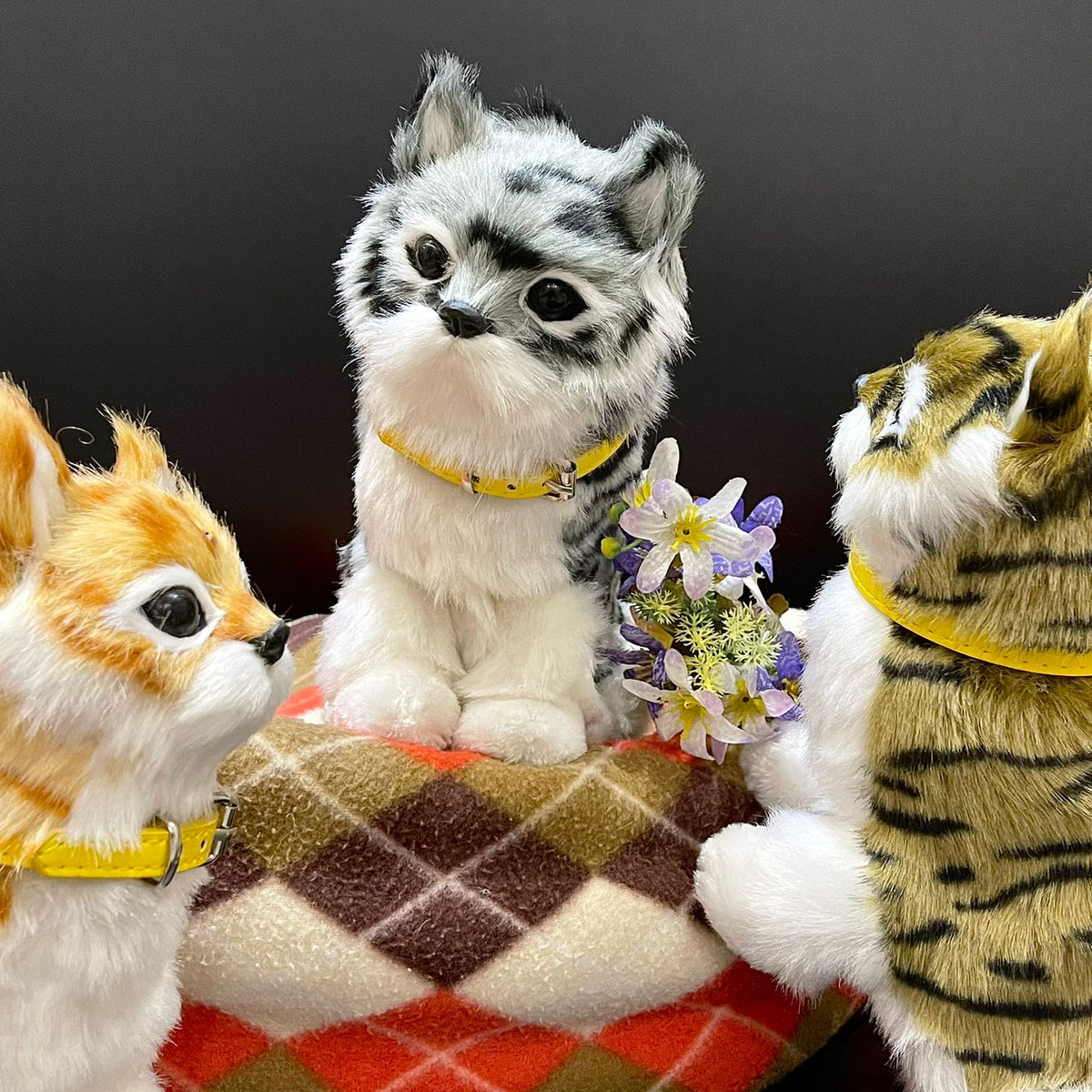 Little Alive Cats with Hand Sensor