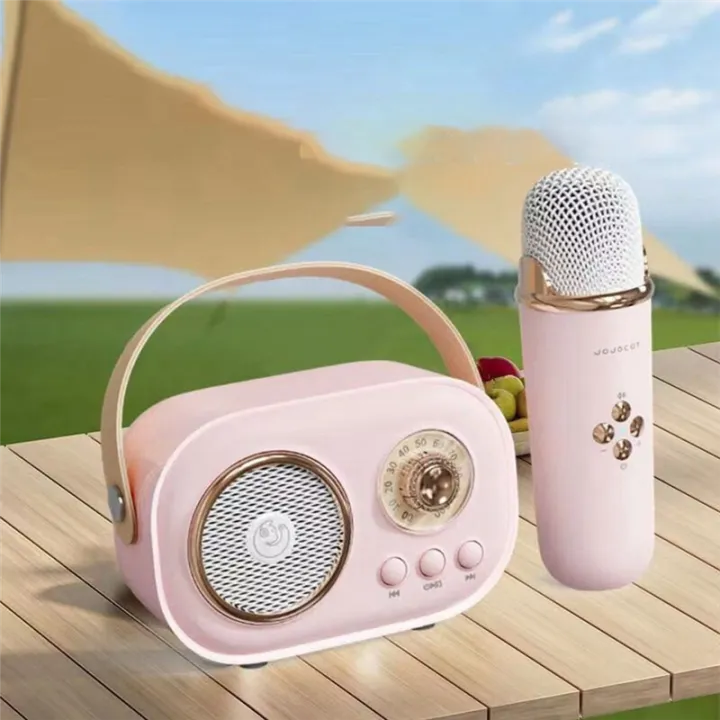 C20 Plus Wireless Karaoke Bluetooth Speaker With Microphone