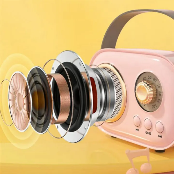 C20 Plus Wireless Karaoke Bluetooth Speaker With Microphone