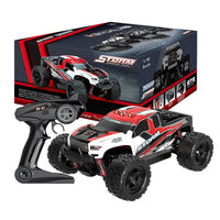 1:18 RC 2.4GHz Off-Road Storm Truck