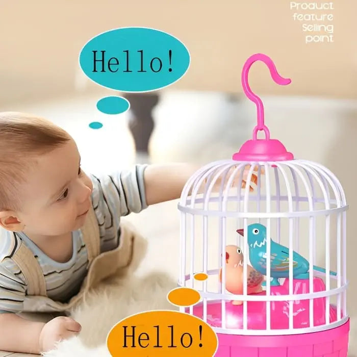 Electric Recording Function Bird Cage