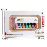 2in1 Toddler Mini Musical Piano