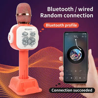 Unique Wireless Child Microphone