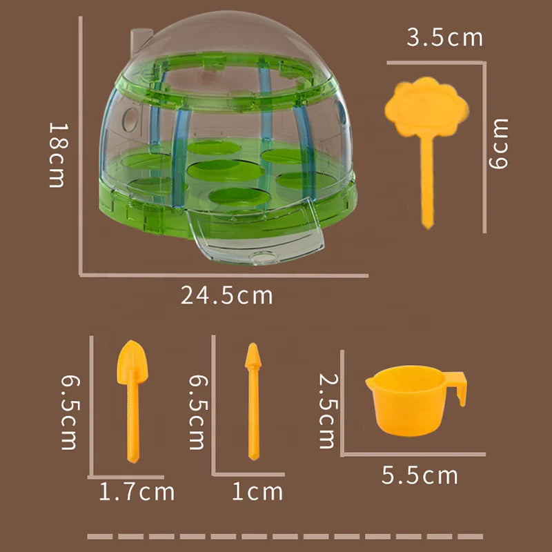 Plant Grow Sun Room Toy For Kids