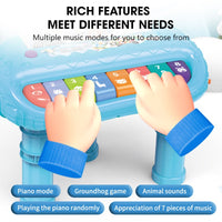 2in1 Penguin Piano & Slide Racing Track Set With Light & Music