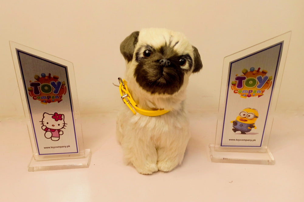 Little Alive Pug Dog