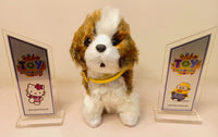Little Alive Brown & White Dog