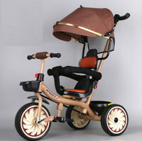 Kids 2in1 Push Stroller Tricycle With Canopy - Brown