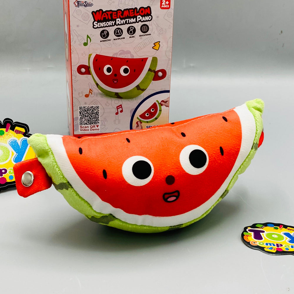 Kids Watermelon Sensory Rhythm Toy