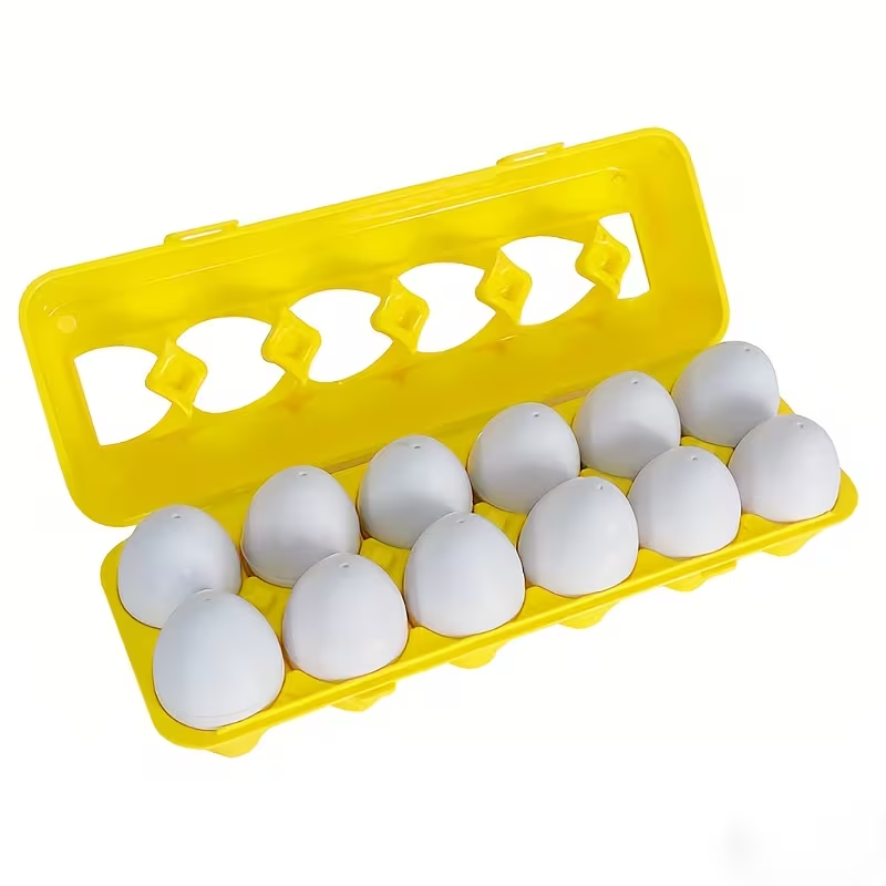 Montessori Shape Matching Eggs With Storage Box - 12Pcs