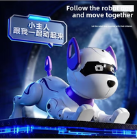 Remote Control Multi-functional Stunt Robot Dog