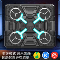 Bluetooth Musical Boxing Target With Cool Lights