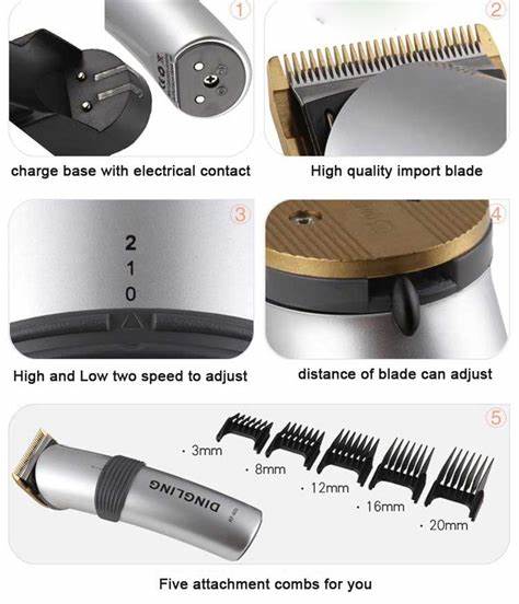 Dingling Professional Hair Trimmer With USB Charger
