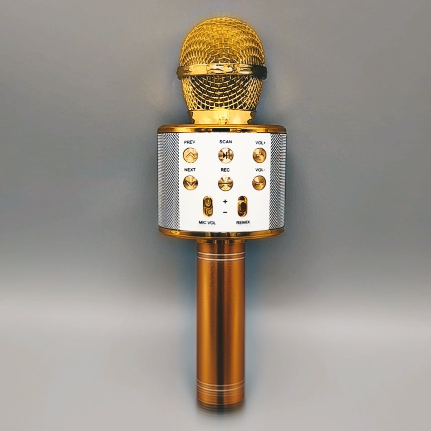 Wireless Bluetooth Microphone Speaker