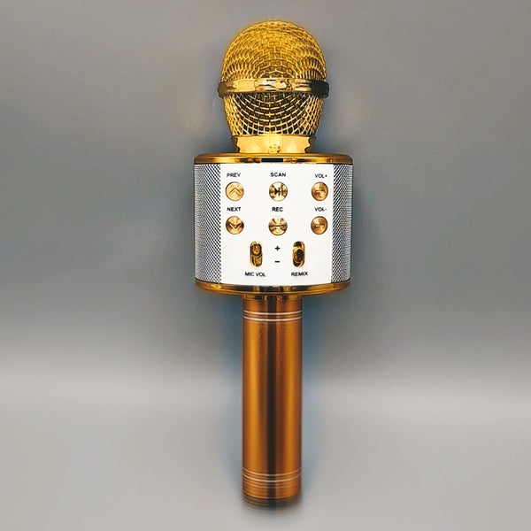 Wireless Bluetooth Microphone Speaker