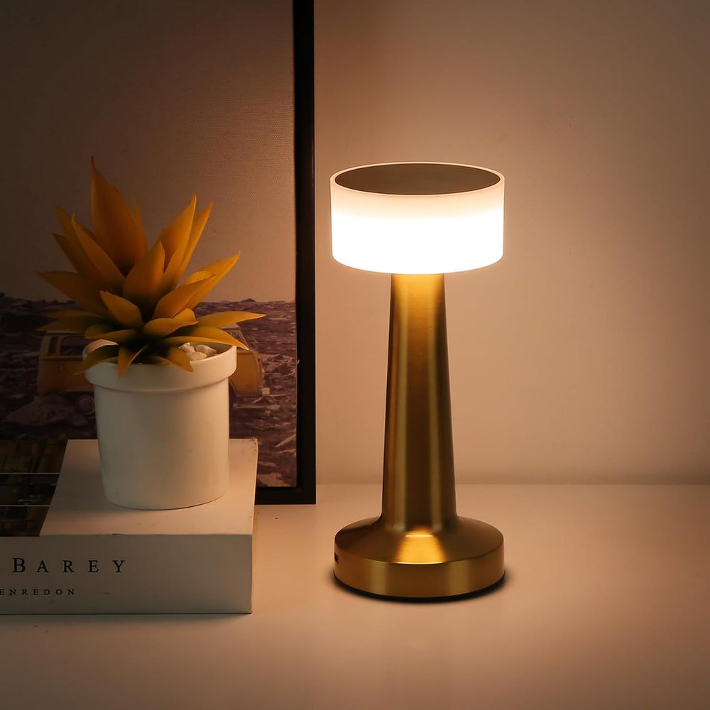 Rechargeable & Touchable Contemporary Metal LED Table Lamp