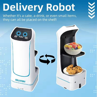 2.4GHz Remote Control Food Delivery Robot
