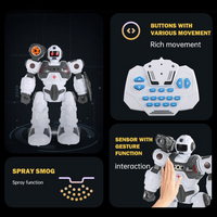Remote & Gesture Control Spray & Bullet Shooting Robot