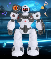 Remote & Gesture Control Spray & Bullet Shooting Robot