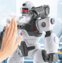 Remote & Gesture Control Spray & Bullet Shooting Robot