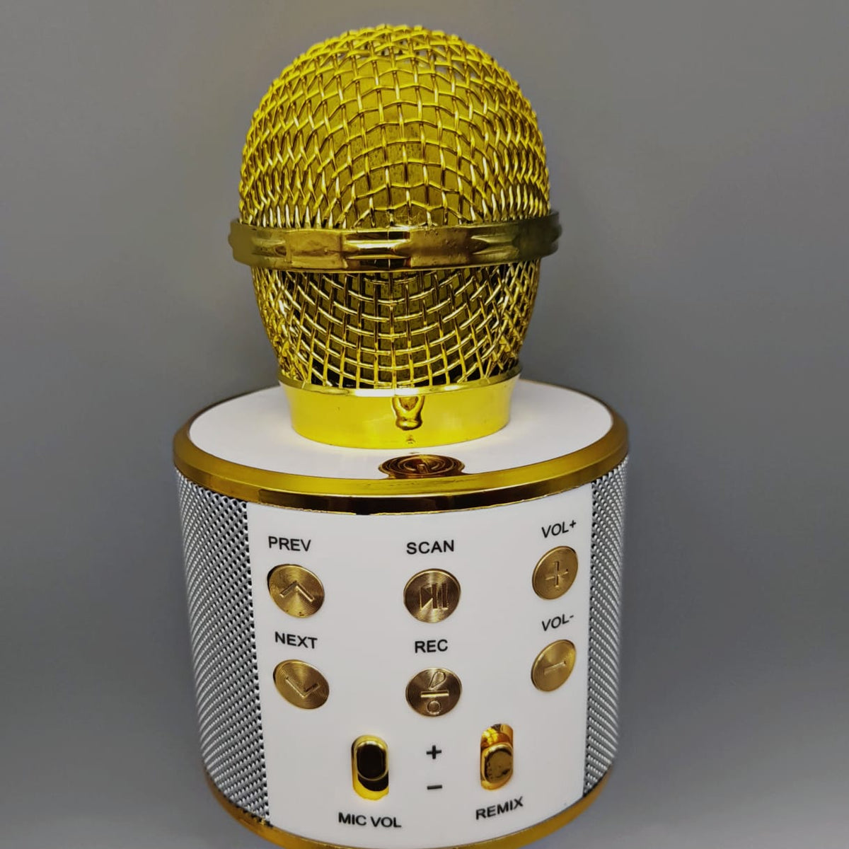 Wireless Bluetooth Microphone Speaker