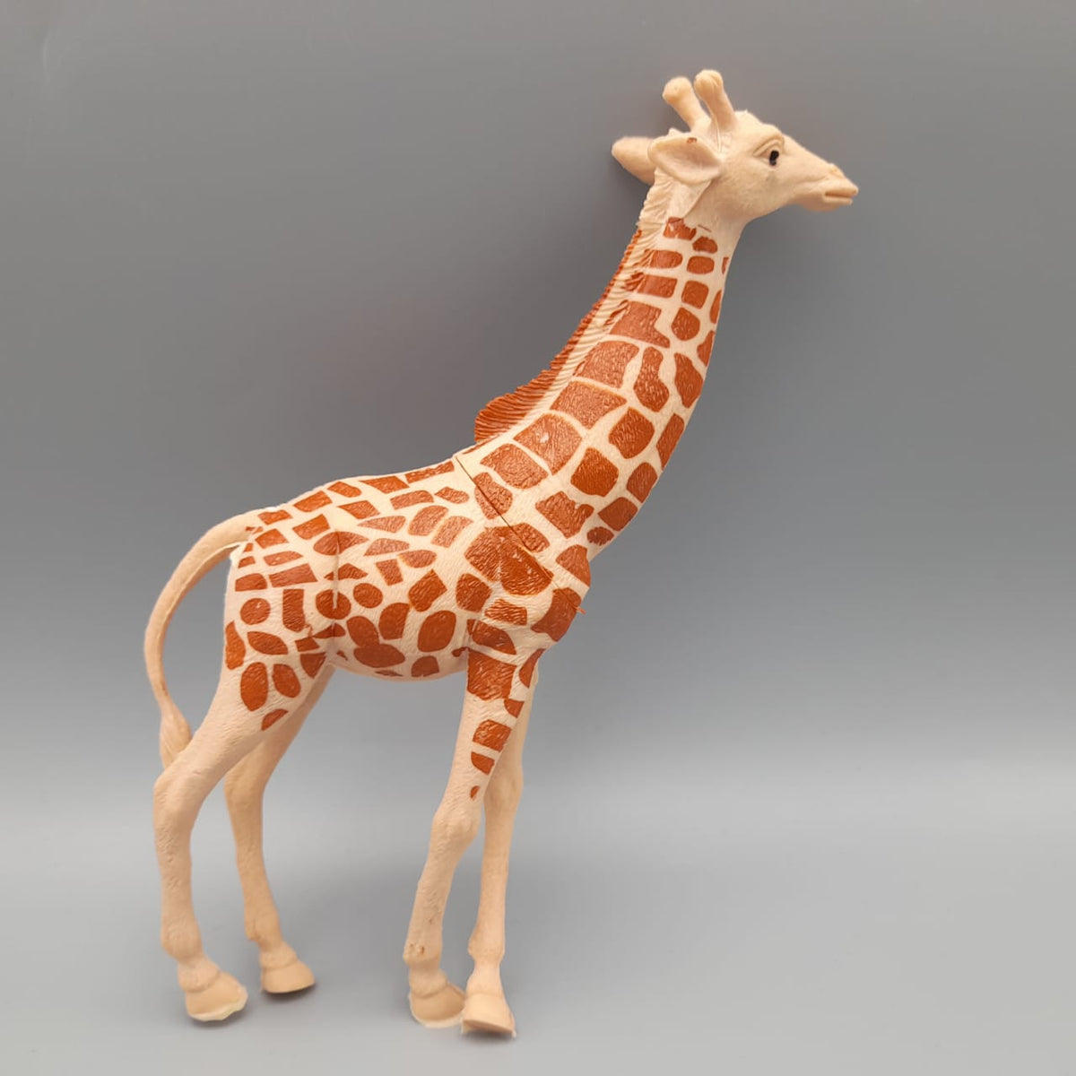 6 PCS Animal Set For Kids