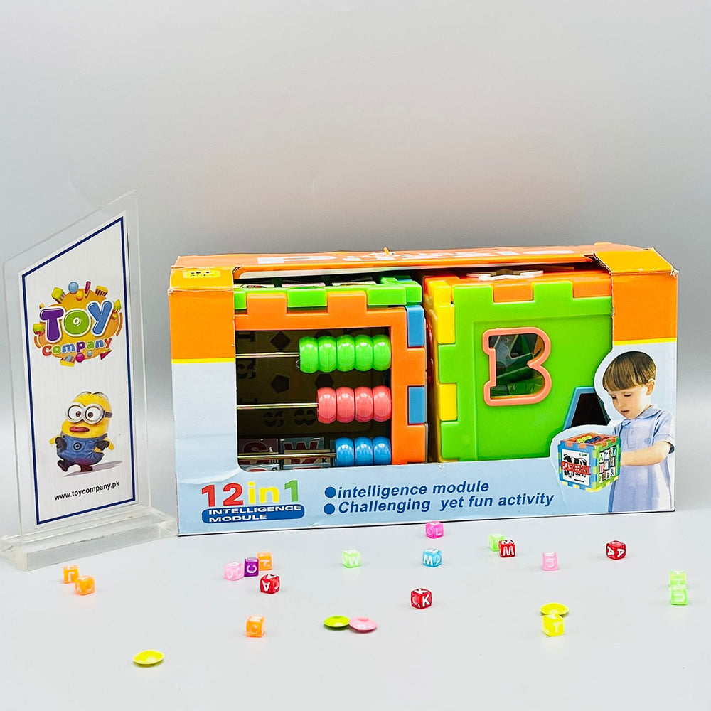 12-In-1 Intelligence Module Puzzle House