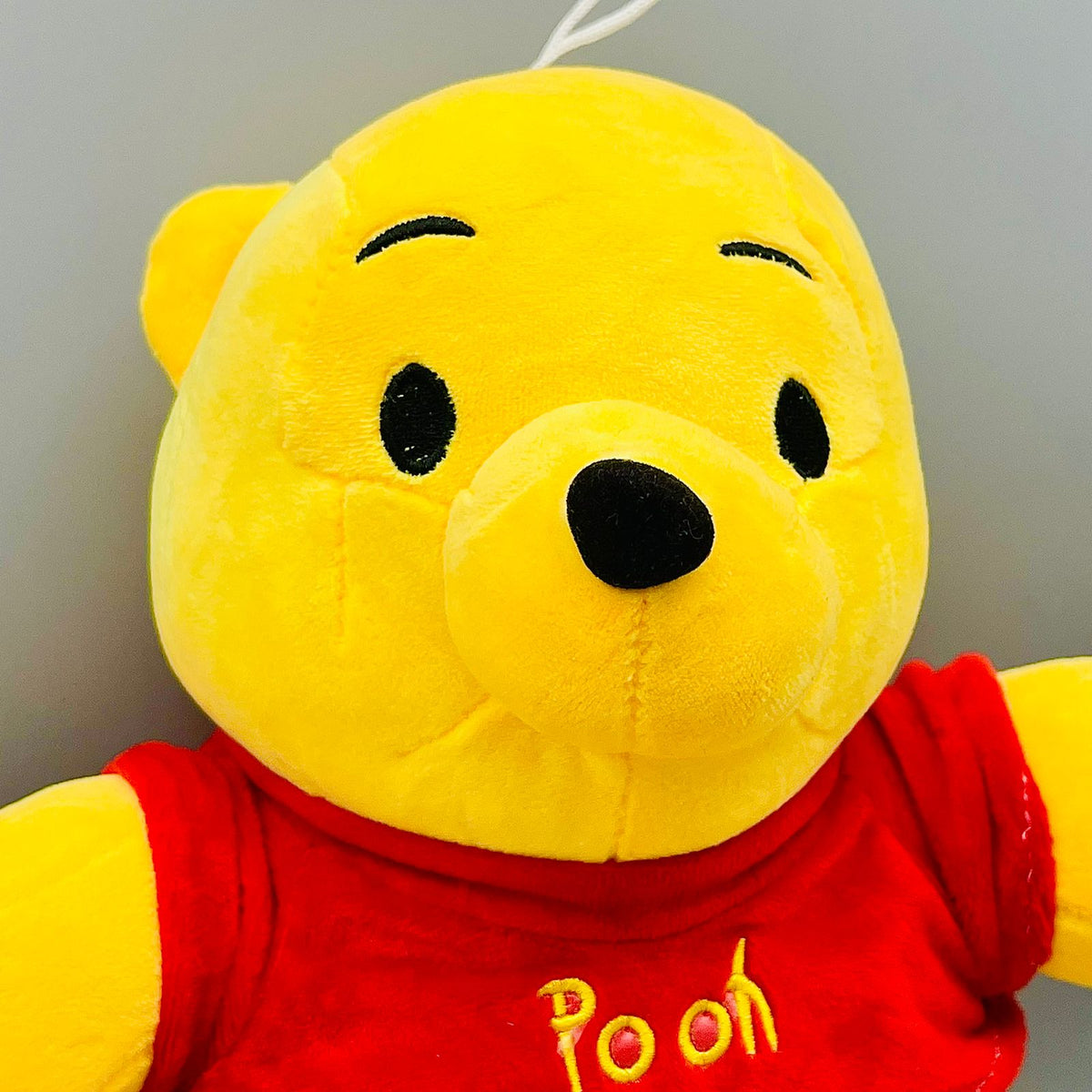 Winnie-The Pooh
