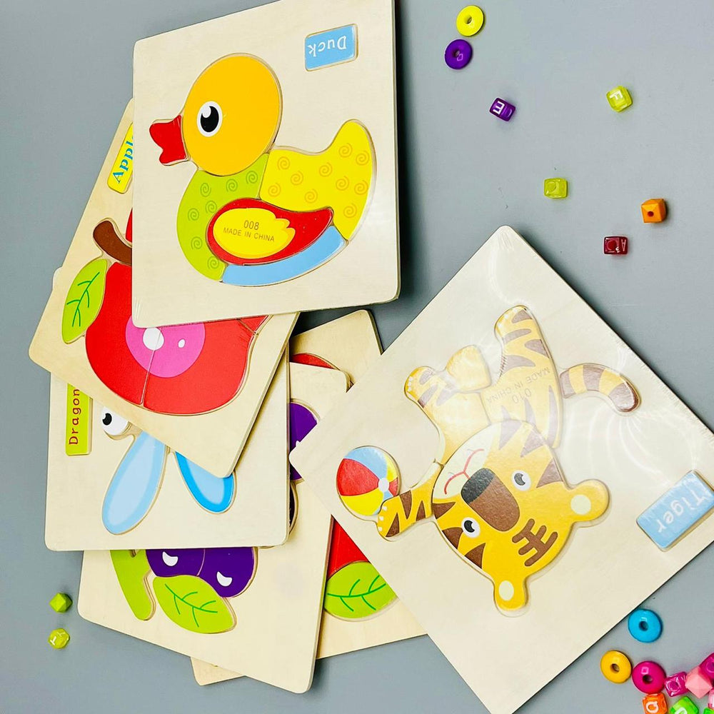 Wooden Educational Colorful Puzzle Sets