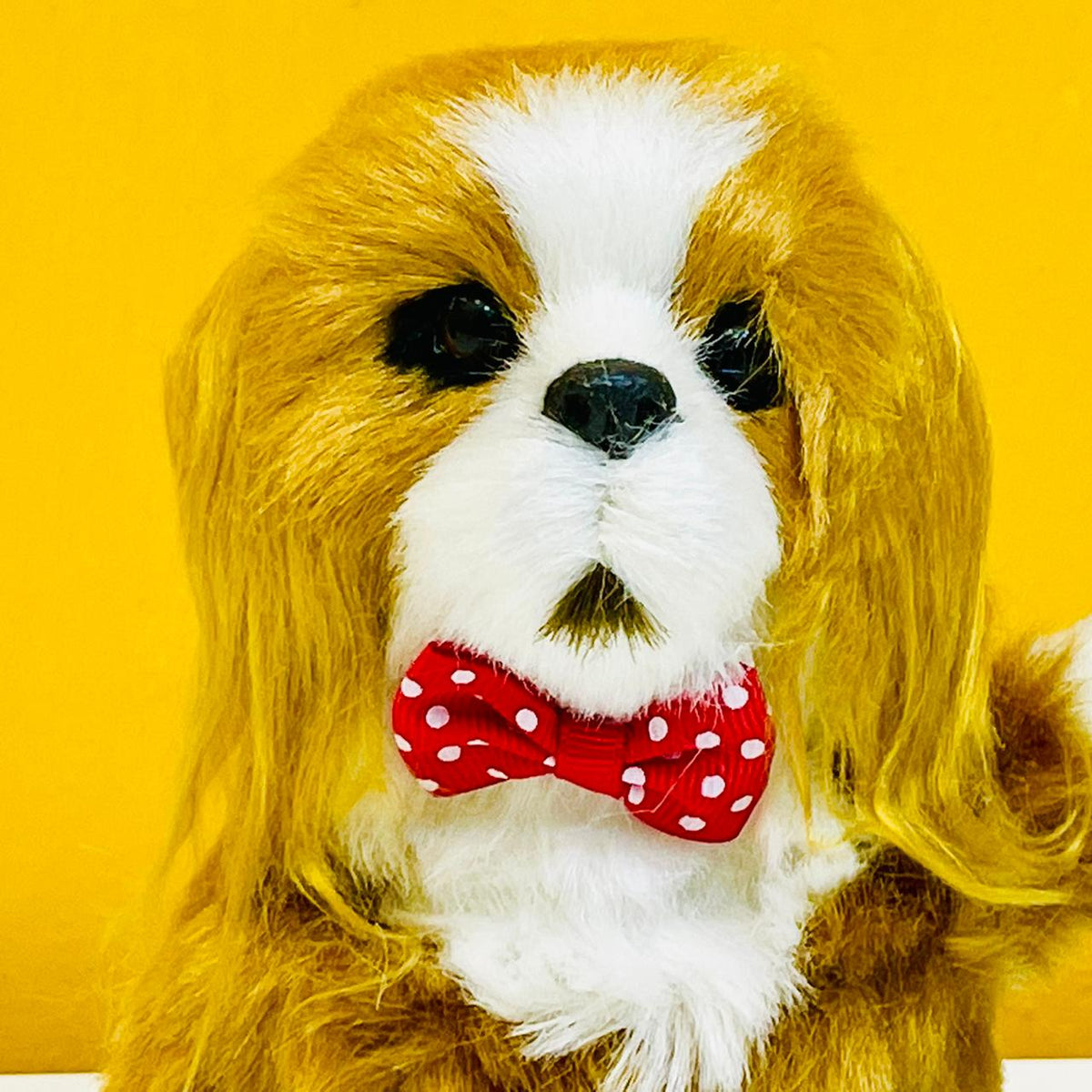 16cm Cute Talking Cocker Spaniel Dog