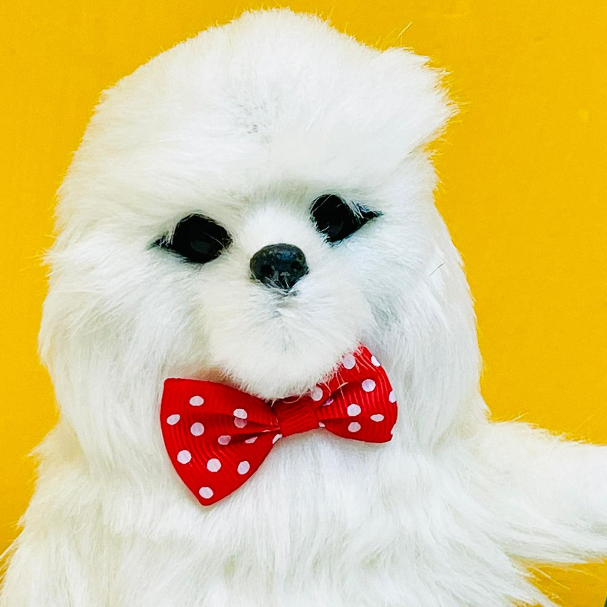 16cm Cute Talking Cocker Spaniel Dog