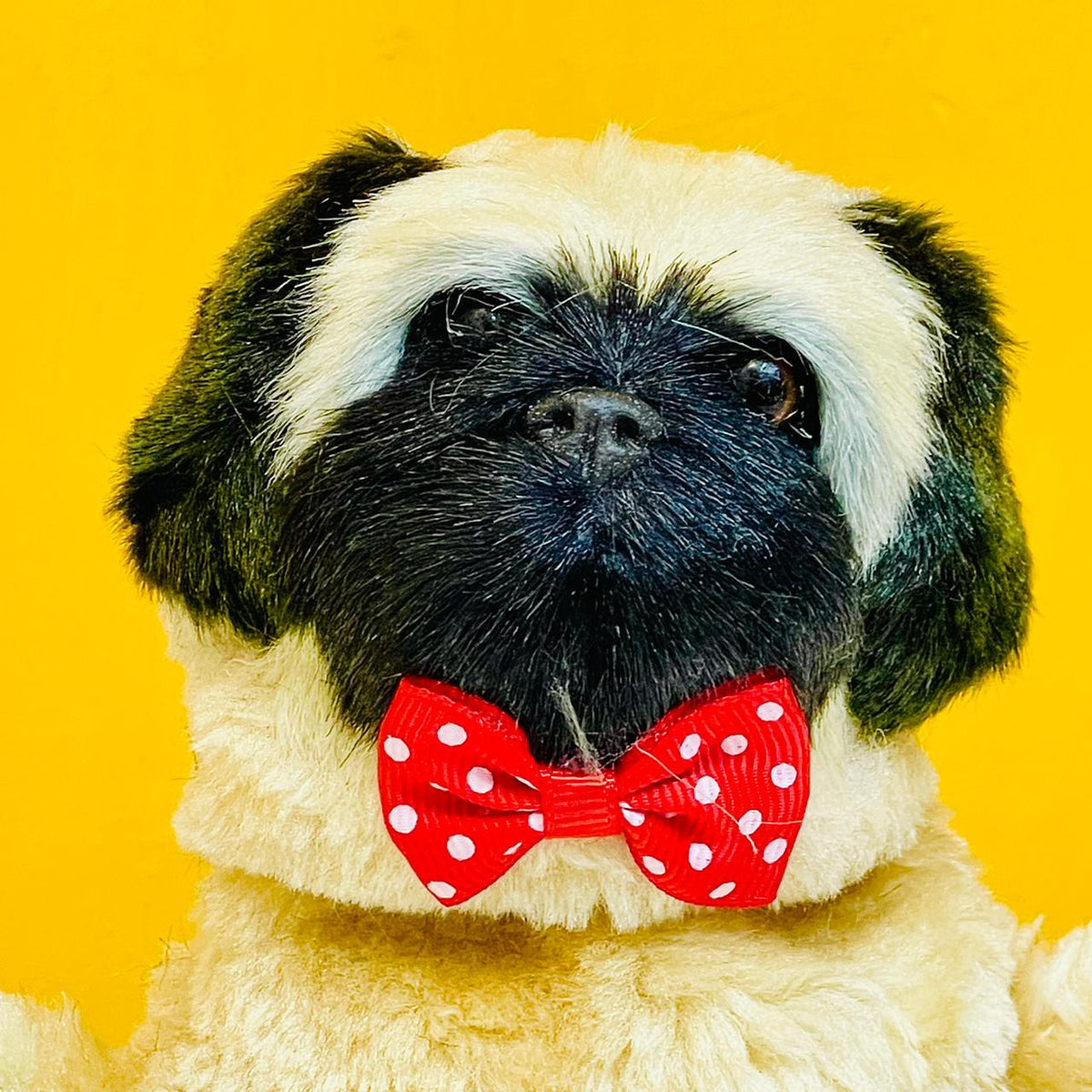 16cm Cute Talking Pug Dog