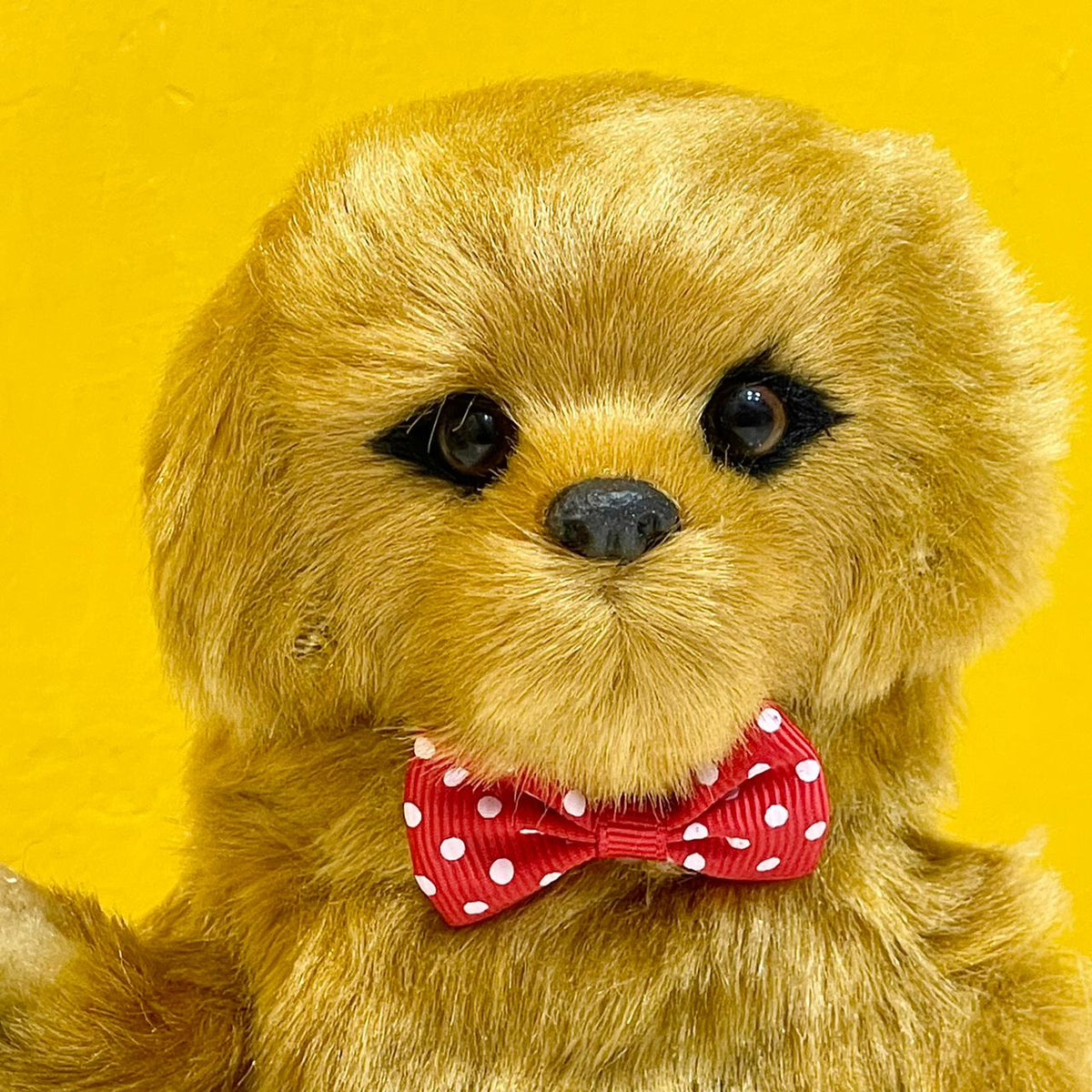 16cm Cute Talking Cocker Spaniel Dog