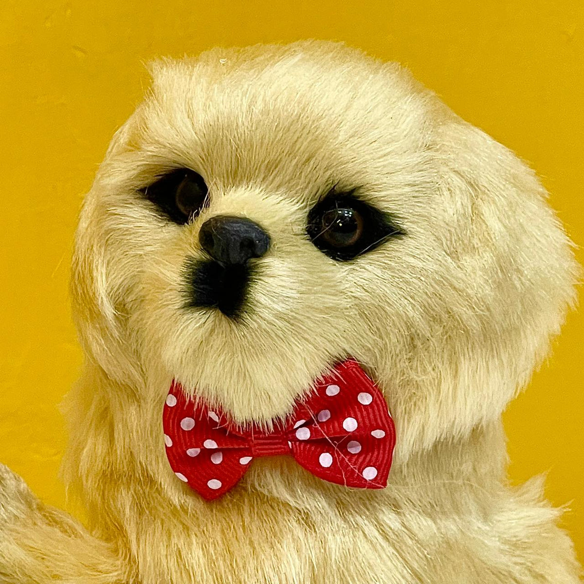 16cm Cute Talking Cocker Spaniel Dog