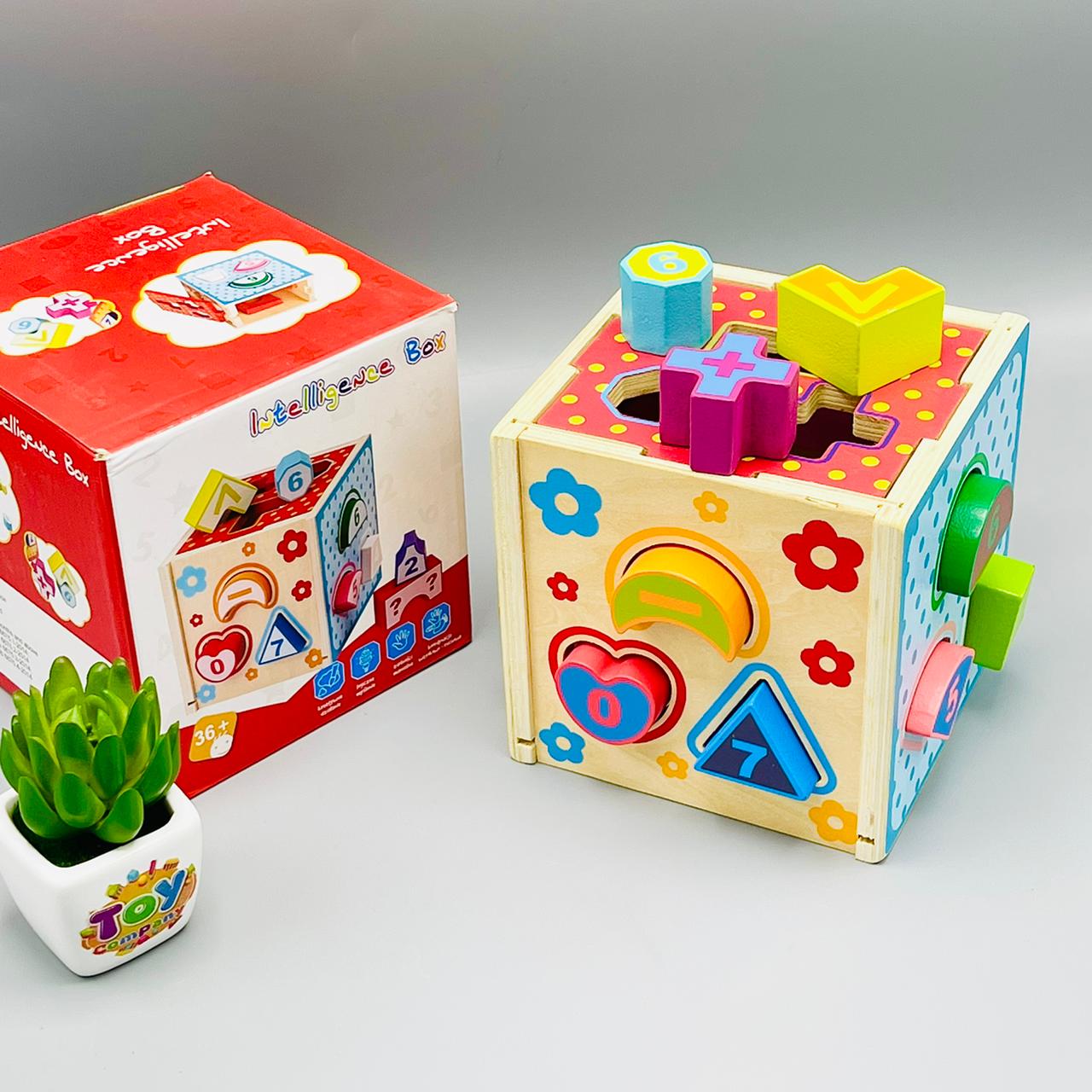 Shape & Number Sorting Intelligence Box