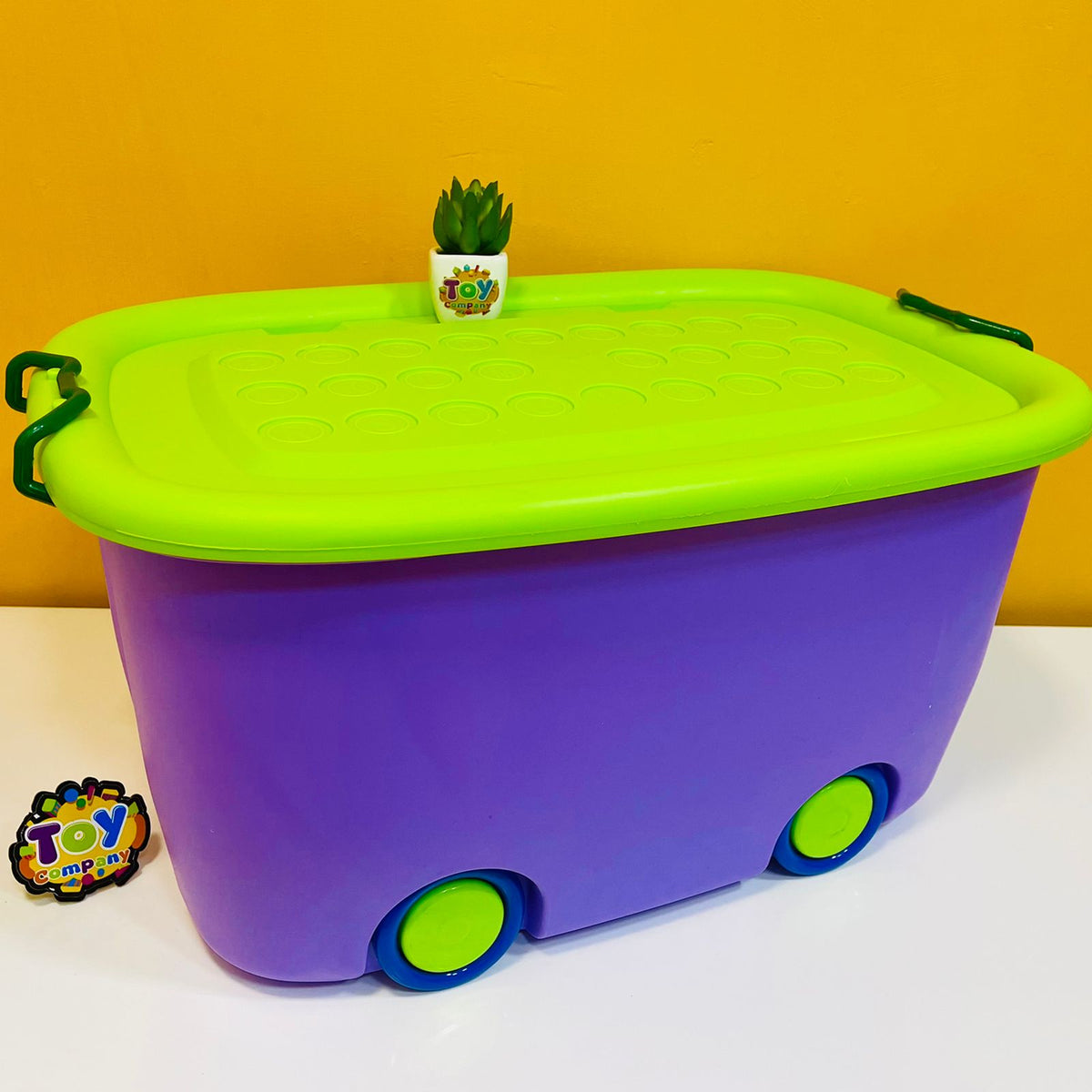 Aqua Multipurpose Plastic Storage Box