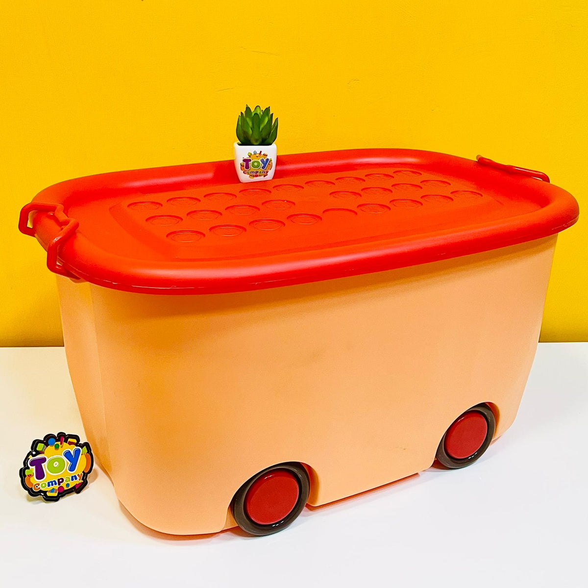 Aqua Multipurpose Plastic Storage Box