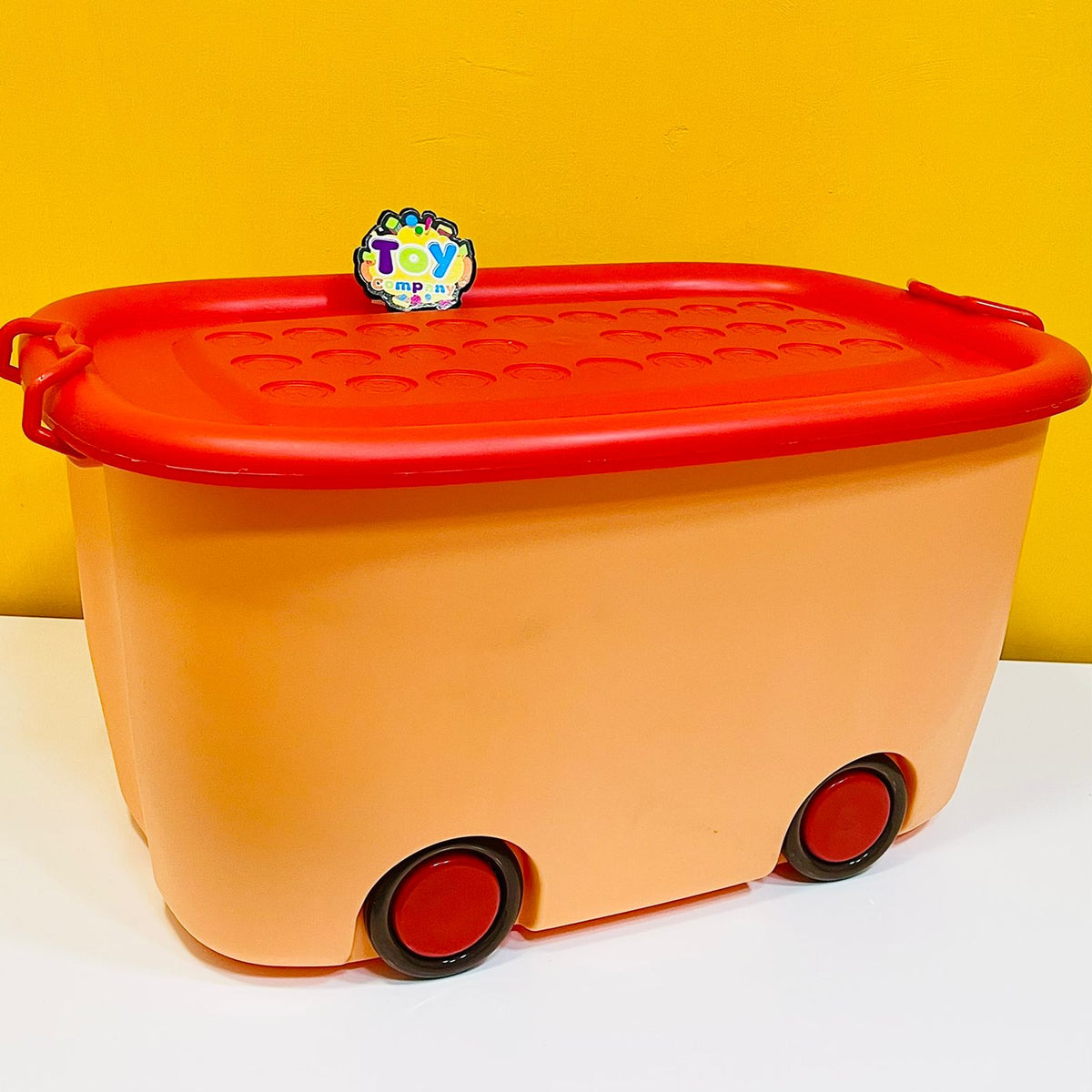 Aqua Multipurpose Plastic Storage Box