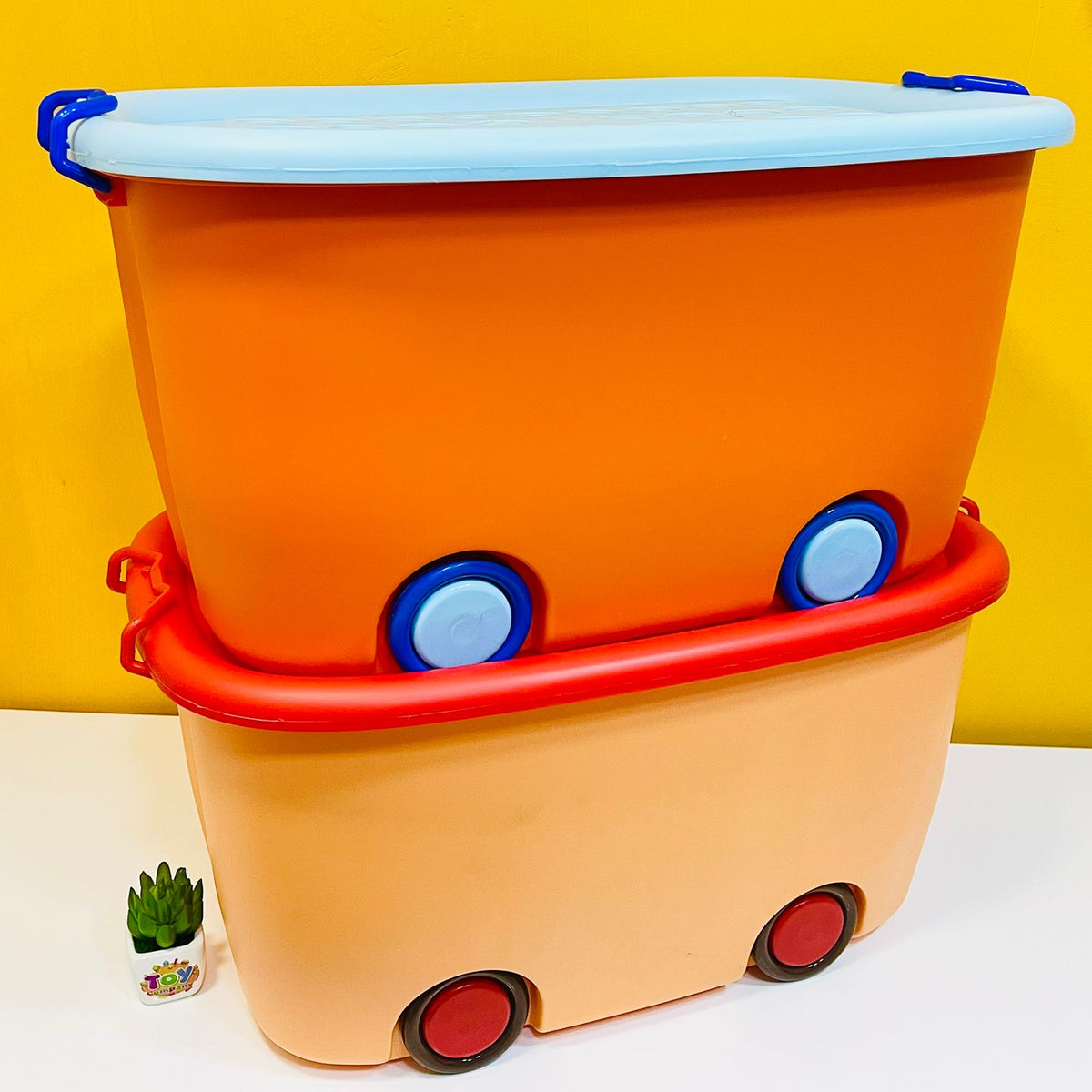 Aqua Multipurpose Plastic Storage Box