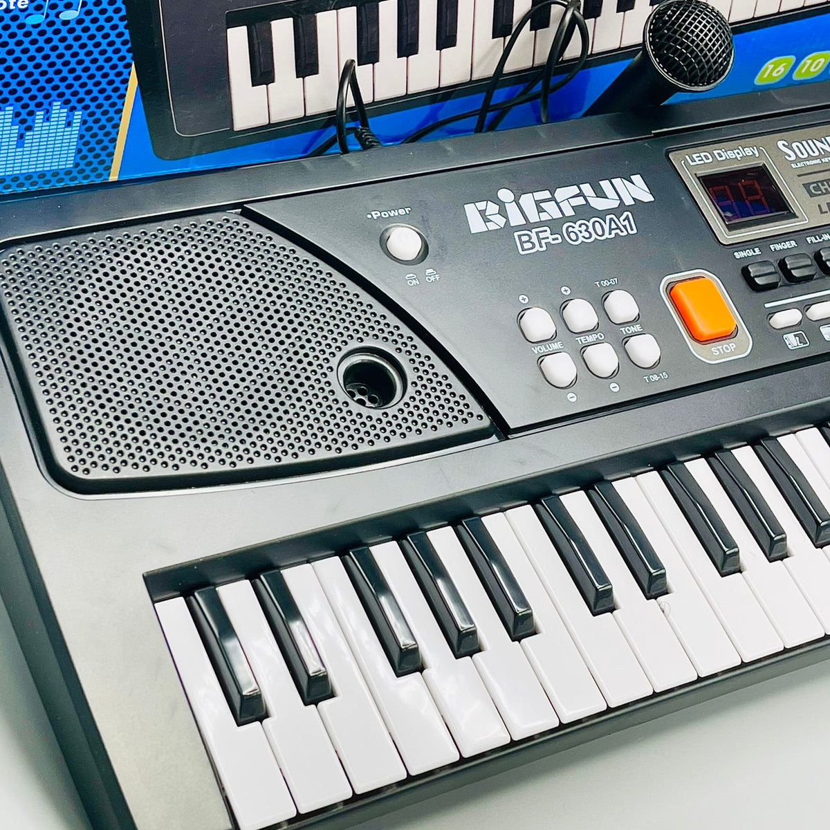BF 61 Keys Electronic Piano with Microphone