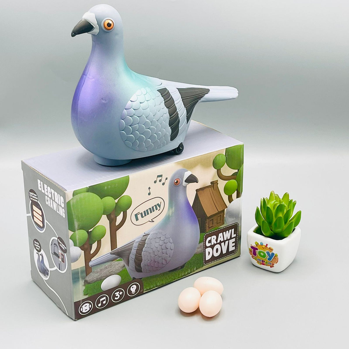 Egg Laying Crawling Pigeon